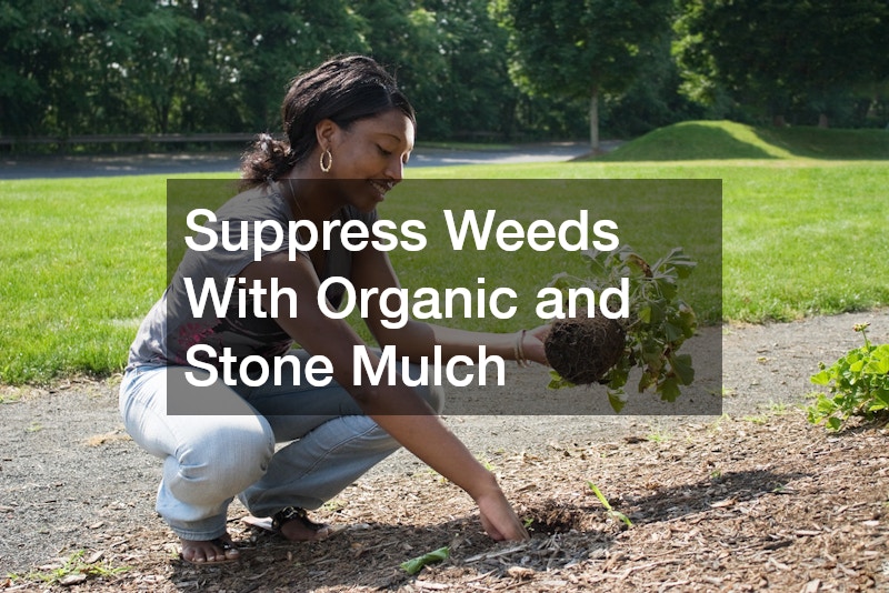 Suppress Weeds With Organic and Stone Mulch