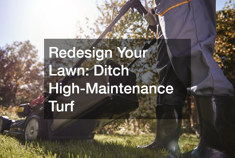 Redesign Your Lawn: Ditch High-Maintenance Turf