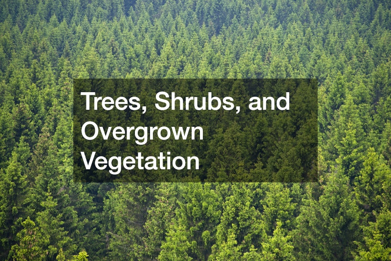 Trees, Shrubs, and Overgrown Vegetation