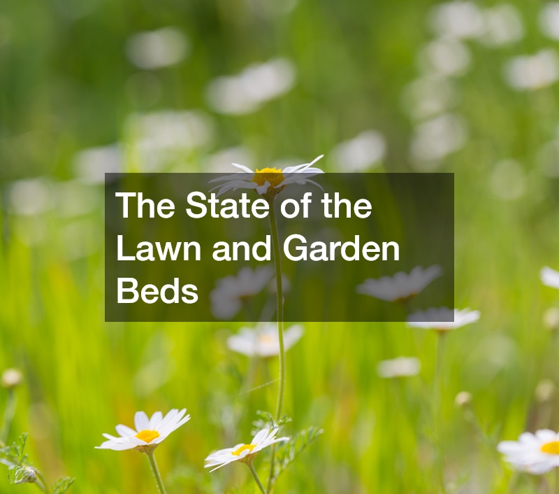 The State of the Lawn and Garden Beds