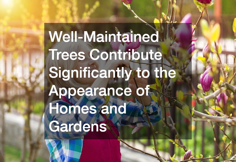 Well-Maintained Trees Contribute Significantly to the Appearance of Homes and Gardens