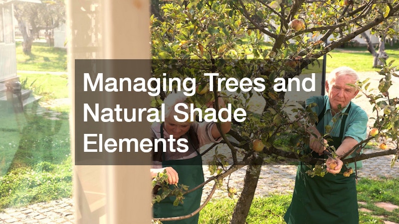 Managing Trees and Natural Shade Elements