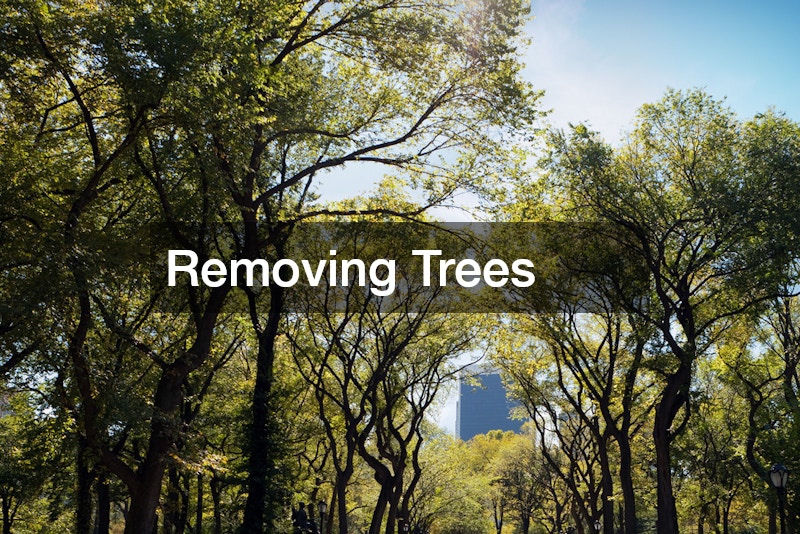Removing Trees