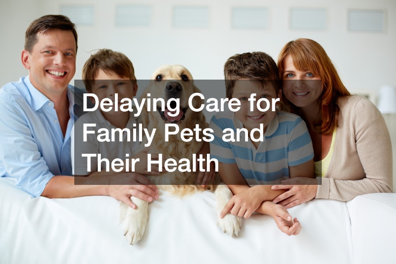 Delaying Care for Family Pets and Their Health