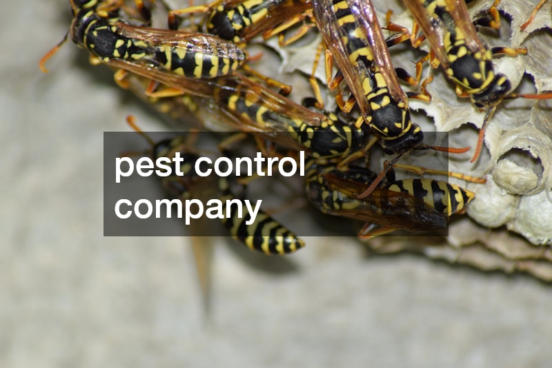 pest control company