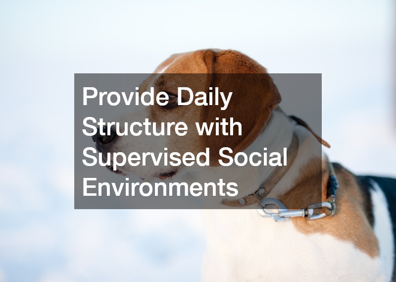 Provide Daily Structure with Supervised Social Environments