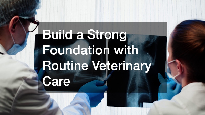 Build a Strong Foundation with Routine Veterinary Care