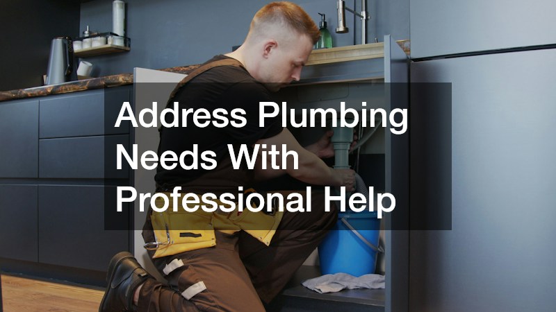 Address Plumbing Needs With Professional Help