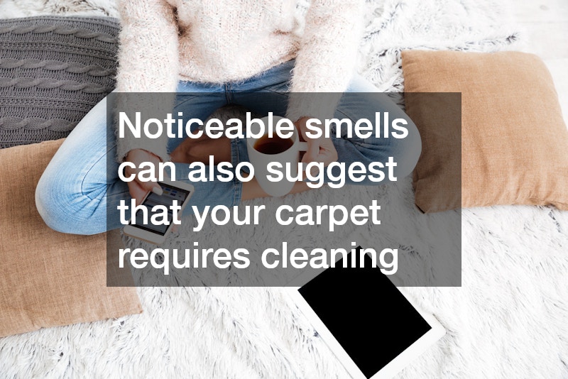 Noticeable smells can also suggest that your carpet requires cleaning