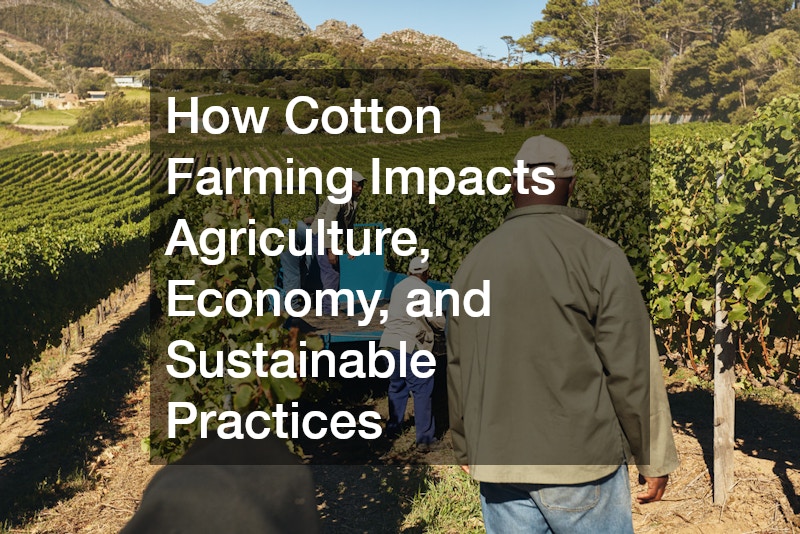 How Cotton Farming Impacts Agriculture, Economy, and Sustainable Practices