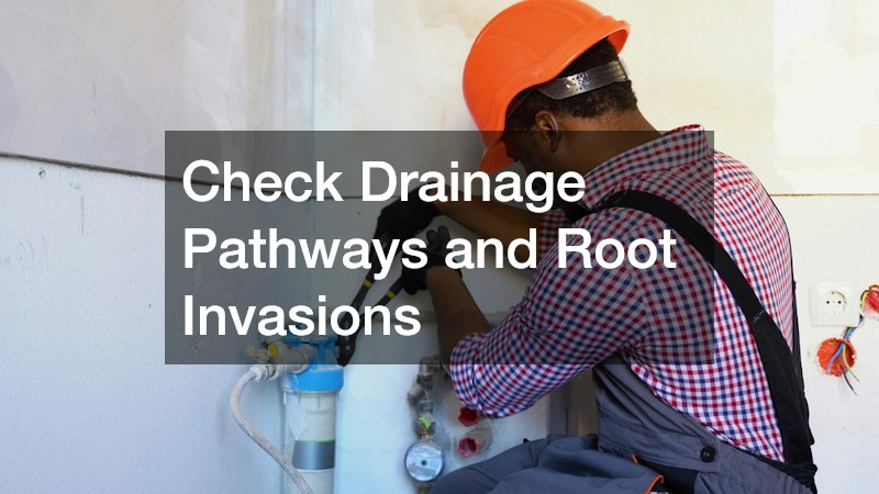 Check Drainage Pathways and Root Invasions