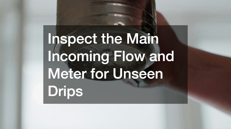 Inspect the Main Incoming Flow and Meter for Unseen Drips
