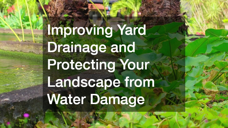 Improving Yard Drainage and Protecting Your Landscape from Water Damage
