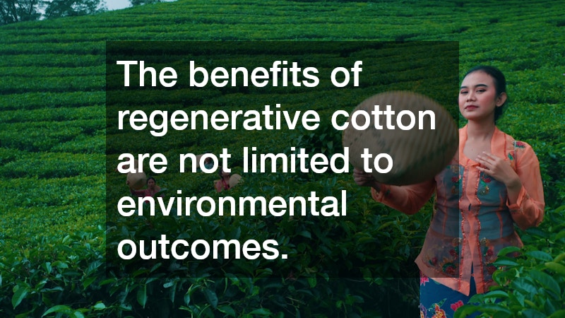 The benefits of regenerative cotton are not limited to environmental outcomes.