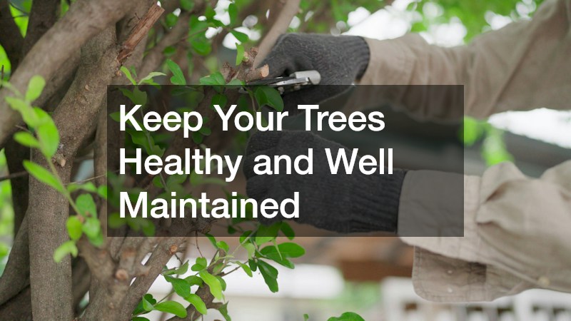 Keep Your Trees Healthy and Well Maintained