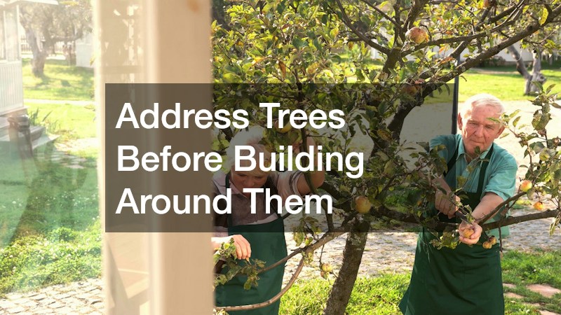 Address Trees Before Building Around Them