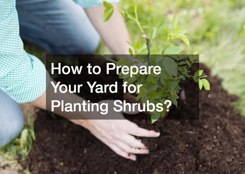 How to Prepare Your Yard for Planting Shrubs?