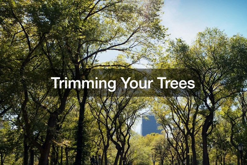 Trimming Your Trees