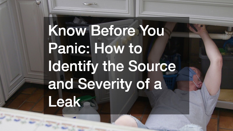 Know Before You Panic: How to Identify the Source and Severity of a Leak