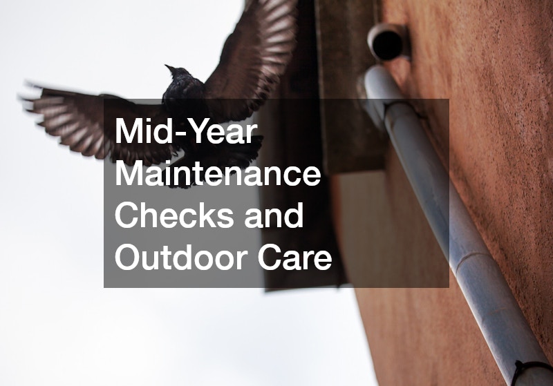 Mid-Year Maintenance Checks and Outdoor Care