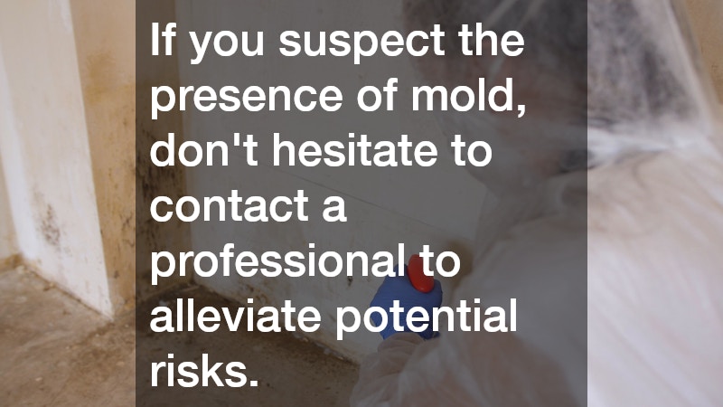 If you suspect the presence of mold, don