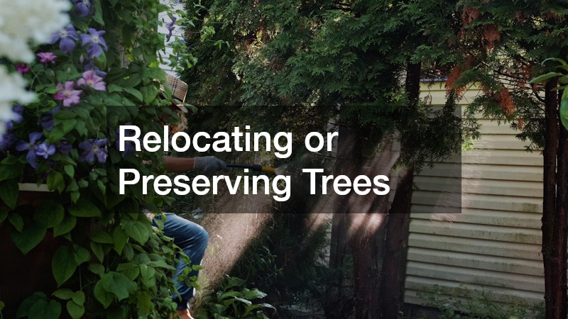 Relocating or Preserving Trees