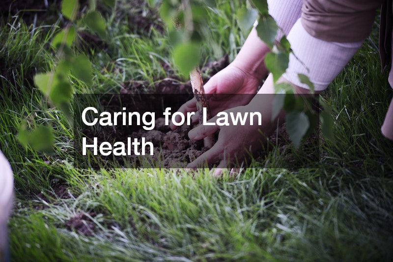 Caring for Lawn Health