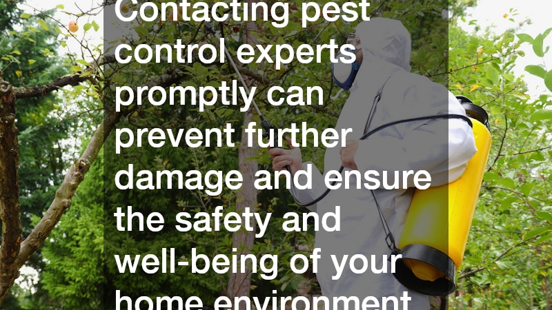 Contacting pest control experts promptly can prevent further damage and ensure the safety and well-being of your home environment
