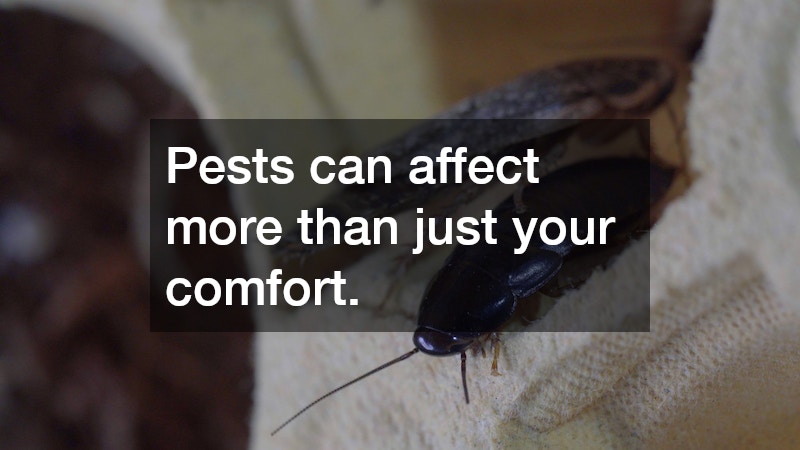 Pests can affect more than just your comfort.