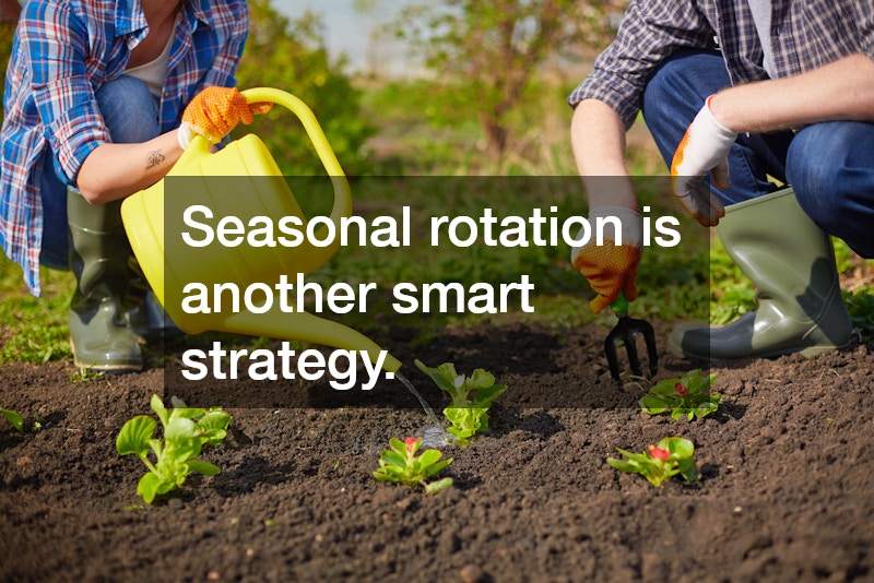 Seasonal rotation is another smart strategy.