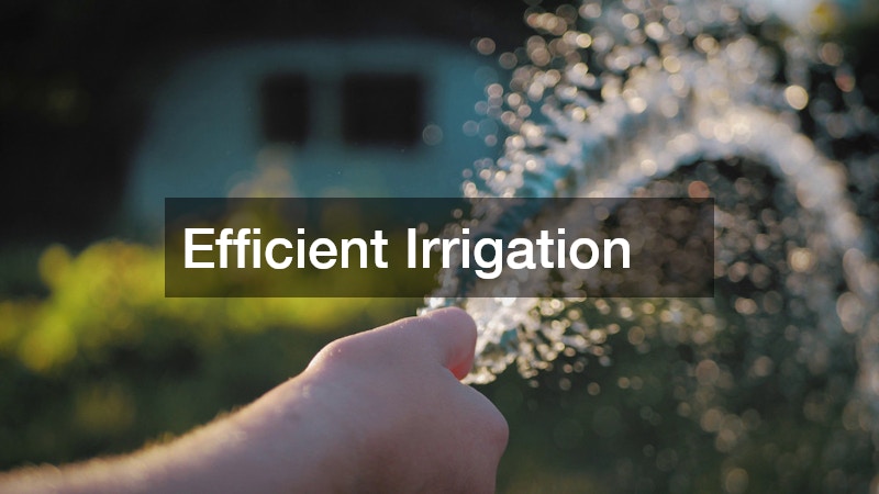 Efficient Irrigation