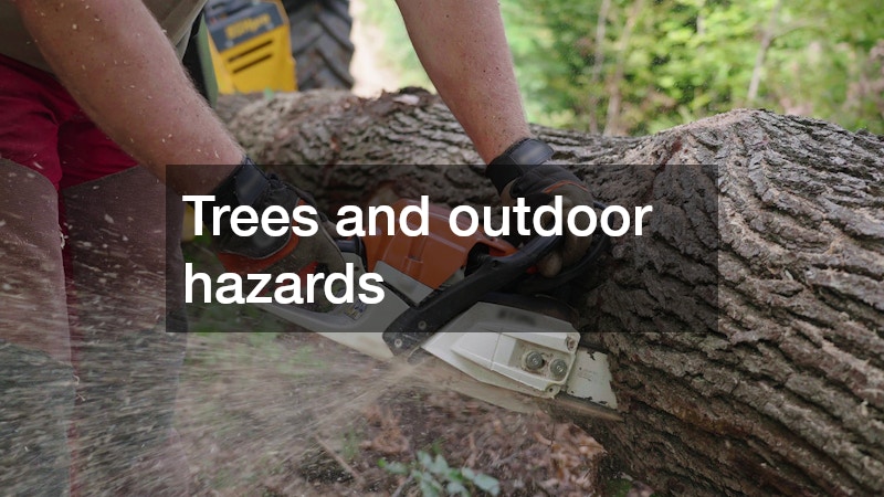 Trees and outdoor hazards