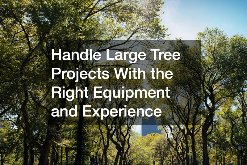 Handle Large Tree Projects With the Right Equipment and Experience