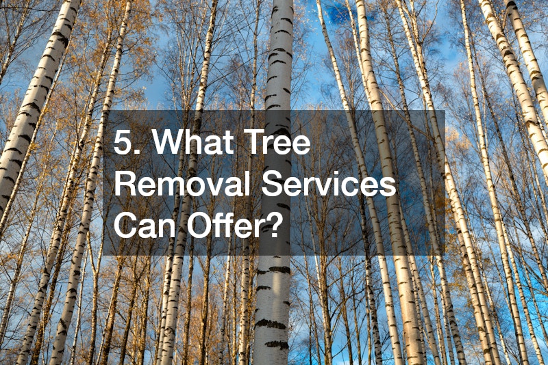 5. What Tree Removal Services Can Offer?