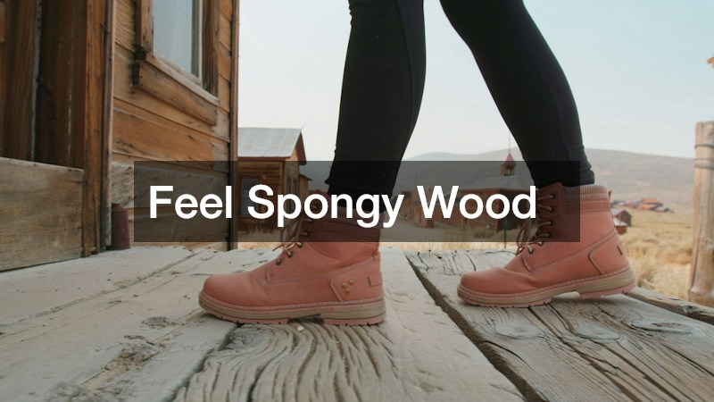 Feel Spongy Wood
