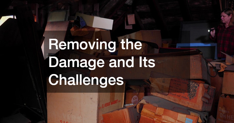 Removing the Damage and Its Challenges