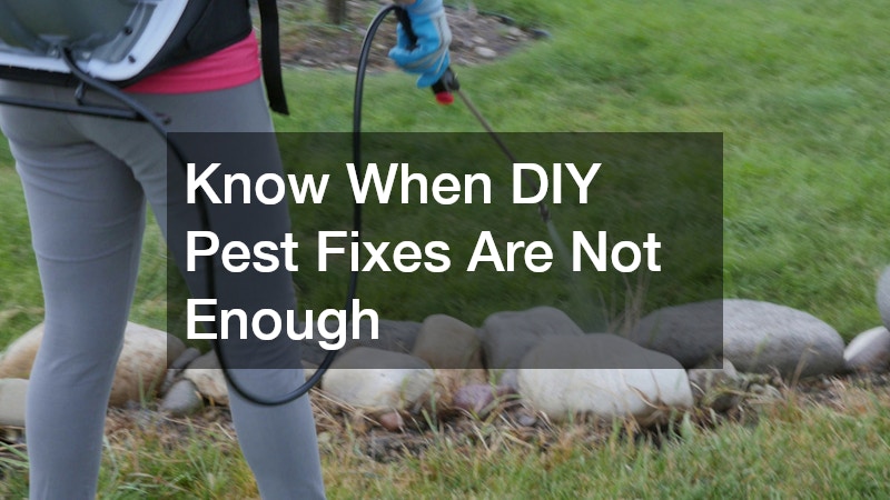 Know When DIY Pest Fixes Are Not Enough