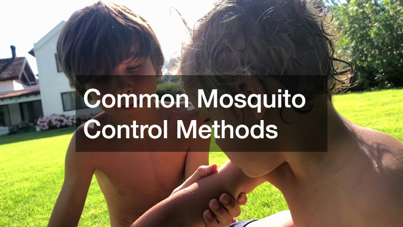 Common Mosquito Control Methods