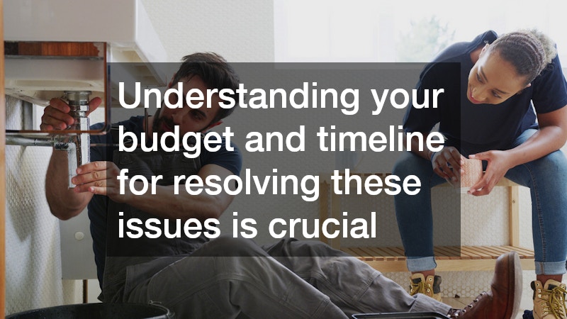 Understanding your budget and timeline for resolving these issues is crucial
