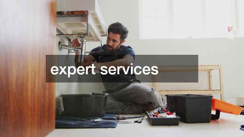 expert services