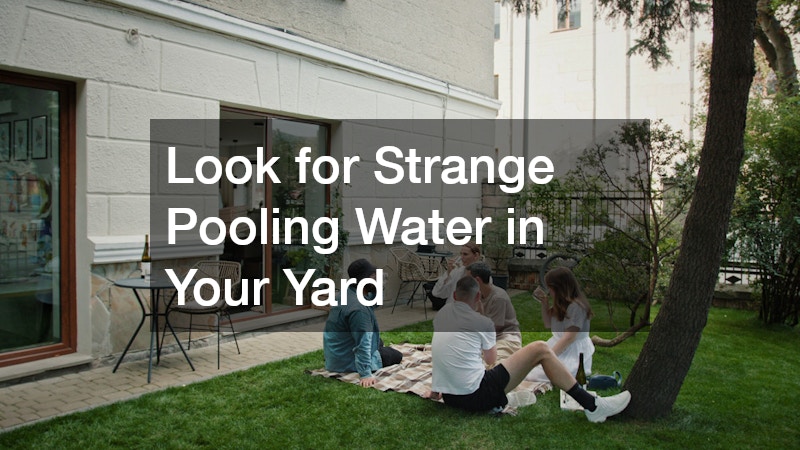 Look for Strange Pooling Water in Your Yard