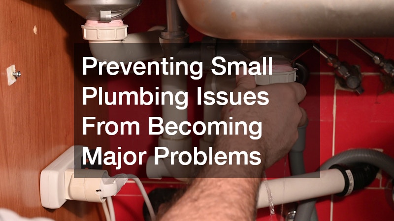 Preventing Small Plumbing Issues From Becoming Major Problems