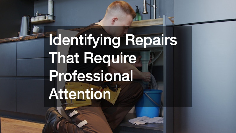 Identifying Repairs That Require Professional Attention