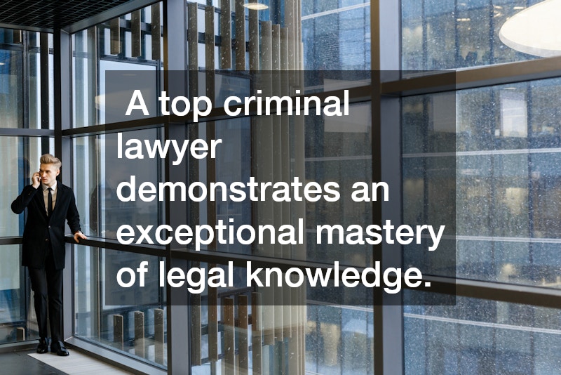  A top criminal lawyer demonstrates an exceptional mastery of legal knowledge.