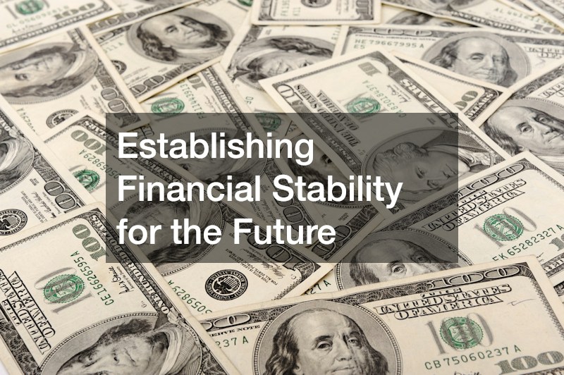 Establishing Financial Stability for the Future