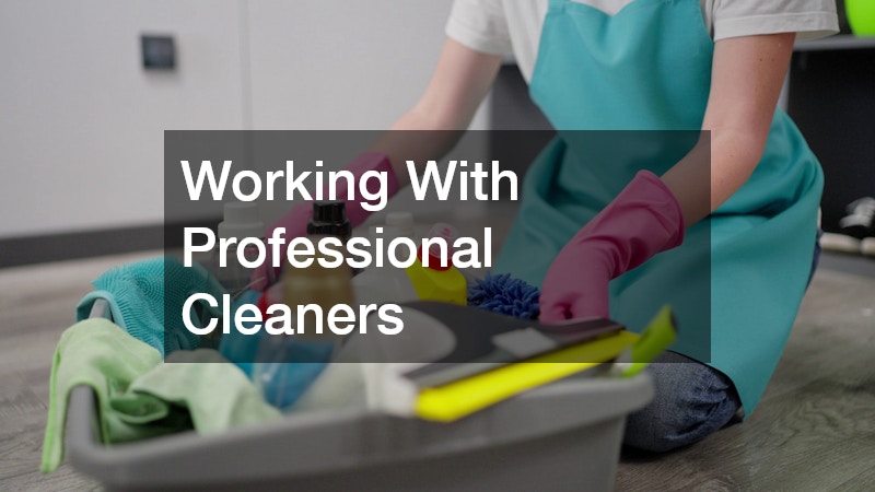Working With Professional Cleaners