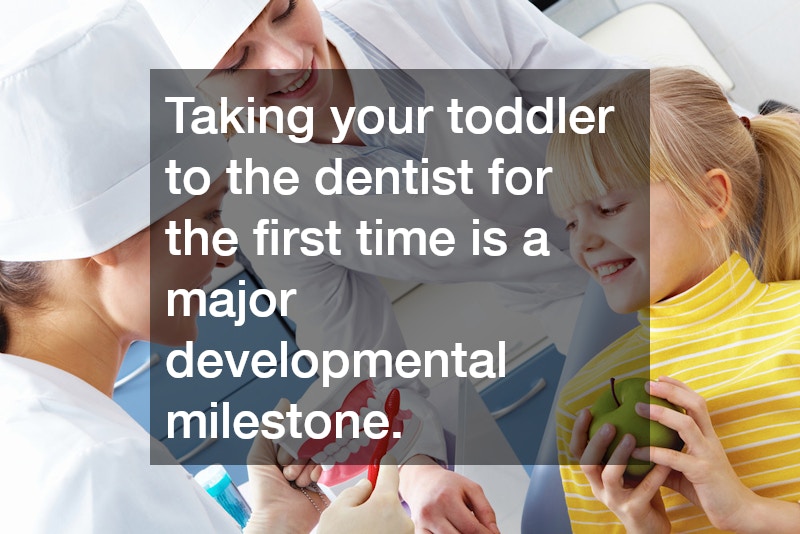 Taking your toddler to the dentist for the first time is a major developmental milestone.