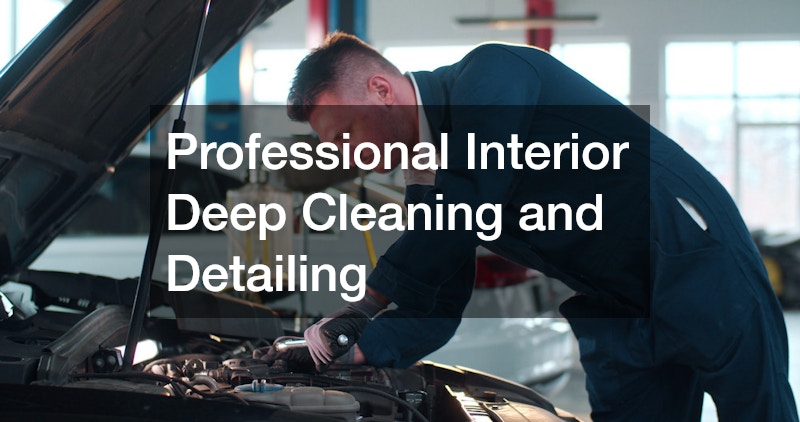Professional Interior Deep Cleaning and Detailing