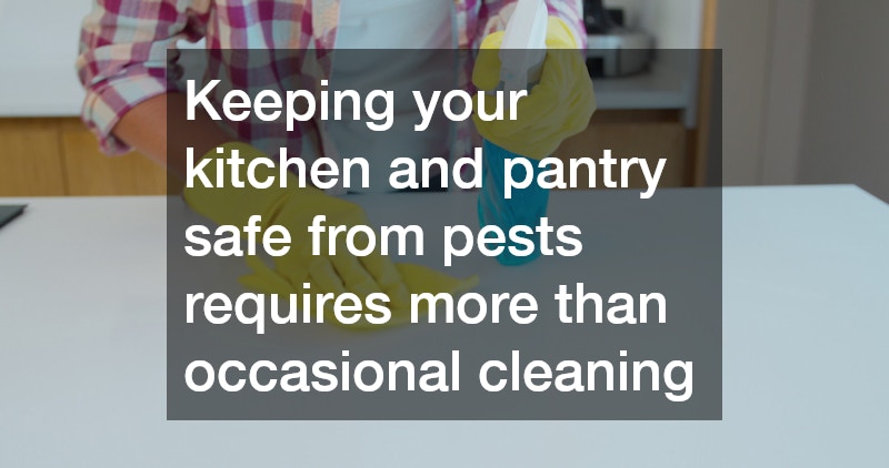 Keeping your kitchen and pantry safe from pests requires more than occasional cleaning