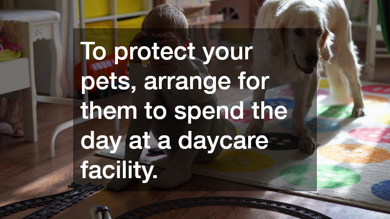 To protect your pets, arrange for them to spend the day at a daycare facility.